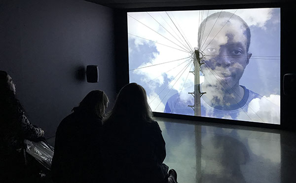 Birds I wouldn't have heard